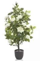 Dirbtinis rožių medis 83cm žalias/baltas