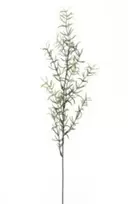 Emivela Dirbtinis smidras 60cm