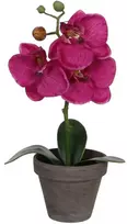Edelman Dirbtinės gėlės vazonėlyje 26cm orchidėjos/violetinės