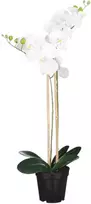 Edelman Dirbtinės gėlės vazonėlyje 70cm orchidėjos/baltos