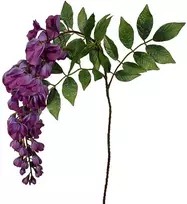 Edelman Dirbtinės gėlės vazonėlyje 94cm visterija/violetinė