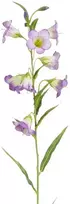 Edelman Dirbtinis katilėlis L73cm violetinė