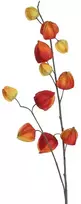 Edelman Dirbtinė dumplūnė L94cm oranžinė