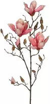 Edelman Dirbtinė gėlė L88cm magnolija/rožinė