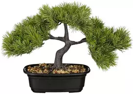 Edelman Dirbtinis augalas vazonėlyje 26cm bonsai med./žalias