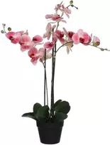 Edelman Dirbtinės gėlės vazonėlyje 79cm orchidėjos/rožinės
