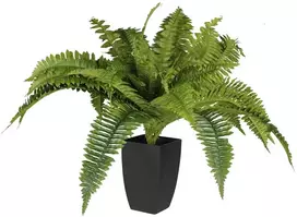 Dirbtinis augalas vazonėlyje 55cm papartis