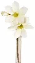 Emivela Dirbtinės magnolijos šaka 24cm baltas