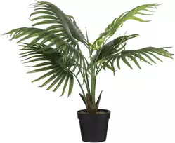 Edelman Dirbtinis augalas vazonėlyje H80xØ80cm palmė