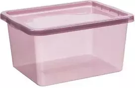 Plastikinė dėžė su dangčiu Basic Box Plast Team 20L bordo