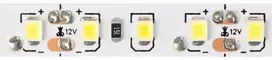 Eco Light LED juosta IP20 600LED 2835 5m 12V 6500K
