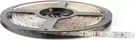 Eco Light LED juosta IP20 300LED 2835 5m 12V 6500K
