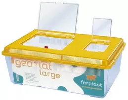 Įrengtas terariumas Geo Flat Large Ferplast 46.7x30.5x17.5cm plastikinis