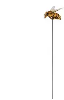 Esschert_Des Dekoracija „Bitė”, 6.9 cm x 8.4 cm x 78.4 cm, ruda/geltona
