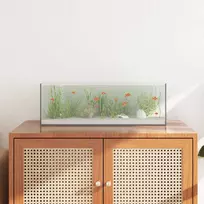 Akvariumas su saugykla Skaidrus 60 x 20 x 20 cm Stiklas