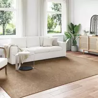 us ir lauko kilimas AGIRA Natūrali 340 x 240 cm Poliesteris