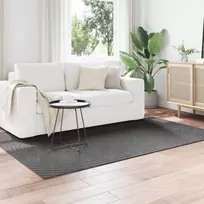 Zoninės kiliminės dangos PALMERAS Antracitas 230 x 160 cm