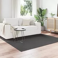 Zoninės kiliminės dangos PALMERAS Antracitas 200 x 200 cm