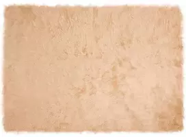 Dirbtinio avių kailio kilimas TAFALLA Smėlio 140 x 200 cm