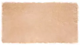 Dirbtinio avių kailio kilimas TAFALLA Smėlio 60 x 110 cm