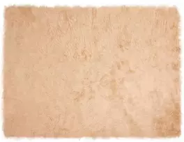 Dirbtinio avių kailio kilimas TAFALLA Smėlio 240 x 340 cm