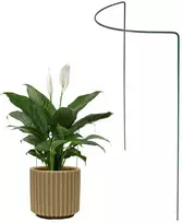 Metalinė augalų atrama, 95 cm