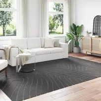 Vidaus ir lauko kilimas PALMERAS Antracitas 280 x 200 cm