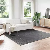 Vidaus ir lauko kilimas PALMERAS Antracitas 240 x 240 cm