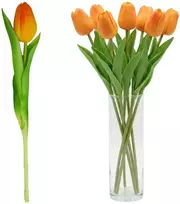 Saska Garden Oranžinis tulpės dekoratyvinis 31 cm