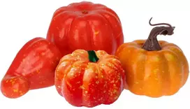 Home Styling Collection dekoracinės moliūgų figūrėlės halloween