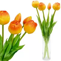 Saska Garden Oranžinių bijūninių tulpių puokštė 39 cm