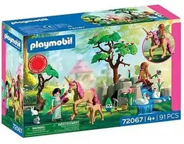 Konstruktorius Playmobil Fairies' Day Trip (72067)