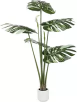 Dirbtinis augalas Monstera, 170 cm