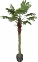 Dirbtinis augalas Palmė, 200 cm