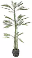 Dirbtinis augalas Palmė, 200 cm