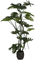Dirbtinis augalas Filodendras, 180 cm