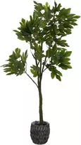 Dirbtinis augalas Figmedis, 180 cm