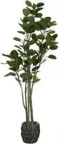 Dirbtinis augalas Laimės medis, 160 cm