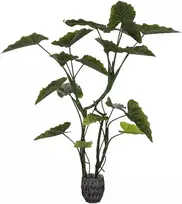 Dirbtinis augalas Kolokazija, 160 cm