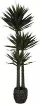 Dirbtinis augalas Juka, 170 cm