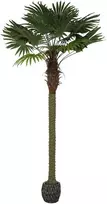 Dirbtinis augalas Palmė, 250 cm