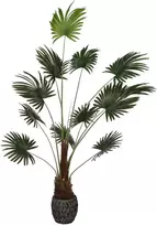 Dirbtinis augalas Palmė, 200 cm
