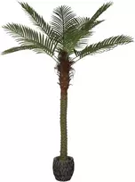 Dirbtinis augalas Palmė, 200 cm