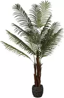 Dirbtinis augalas Palmė Hovėja, 200 cm