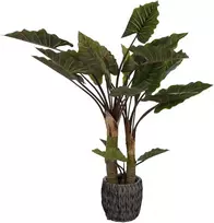 Dirbtinis augalas Kolokazija, 170 cm