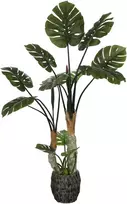 Dirbtinis augalas Monstera, 160 cm