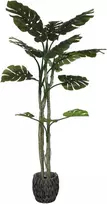Dirbtinis augalas Monstera, 180 cm