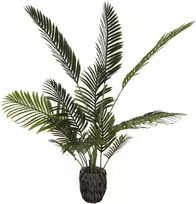 Dirbtinis augalas Palmė Areka, 140 cm