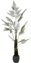 Dirbtinis augalas Papartis, 220 cm