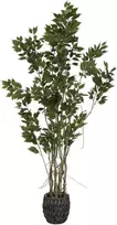 Dirbtinis augalas Fikusas, 190 cm